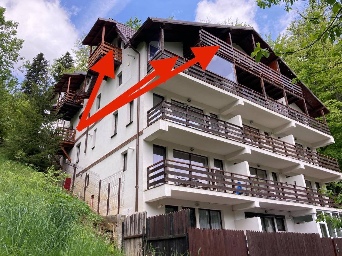 Lucas Duplex Apartman Azuga Kültér fotó