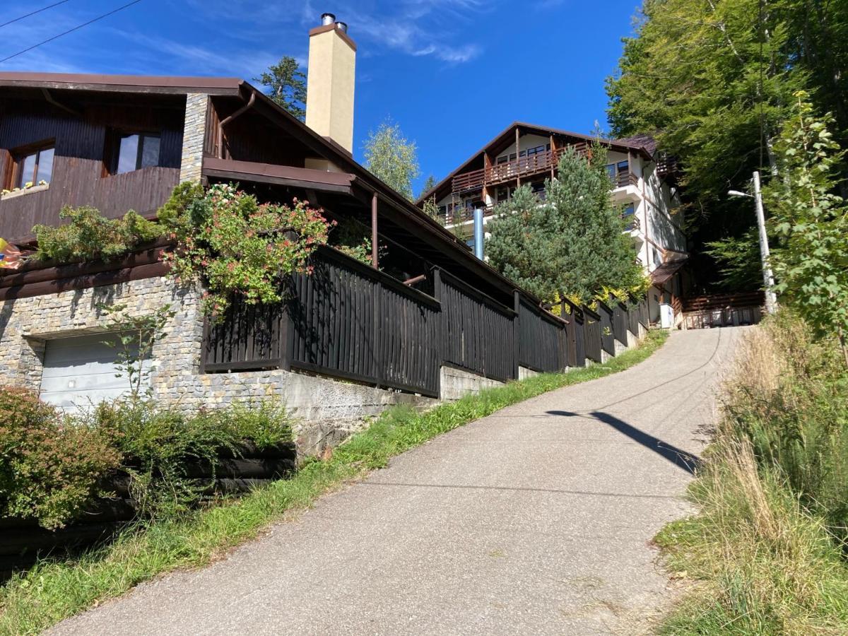 Lucas Duplex Apartman Azuga Kültér fotó