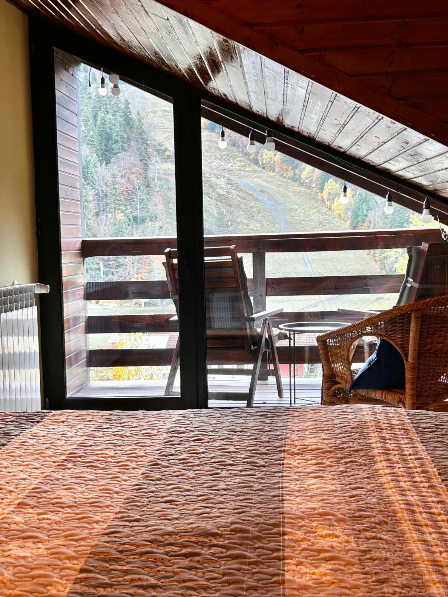 Lucas Duplex Apartman Azuga Kültér fotó