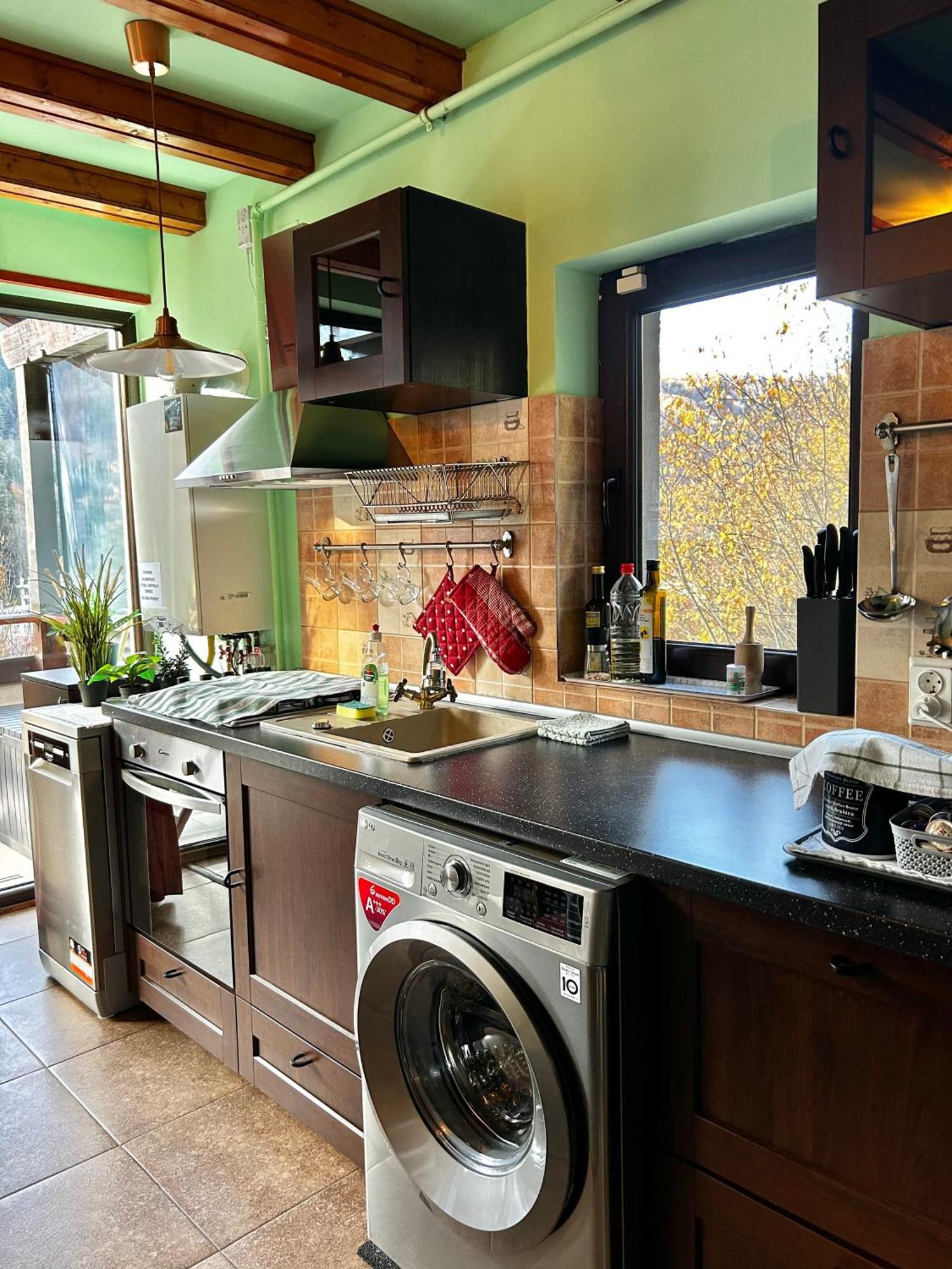 Lucas Duplex Apartman Azuga Kültér fotó